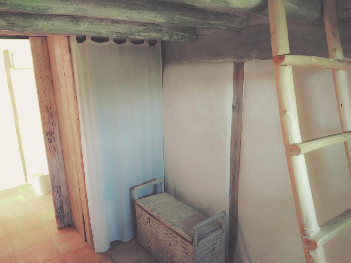 La Cabane En Bois Villemur-sur-Tarn 外观 照片