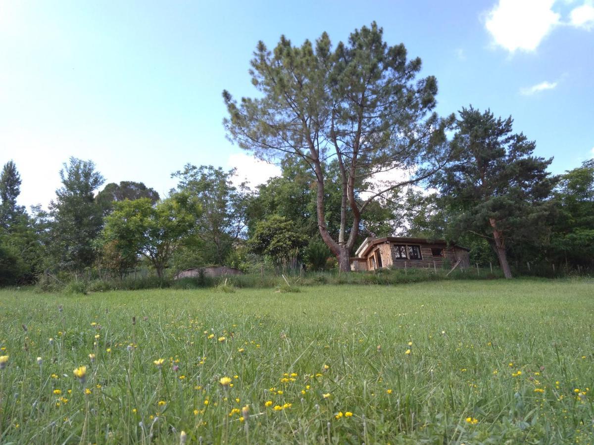 La Cabane En Bois Villemur-sur-Tarn 外观 照片