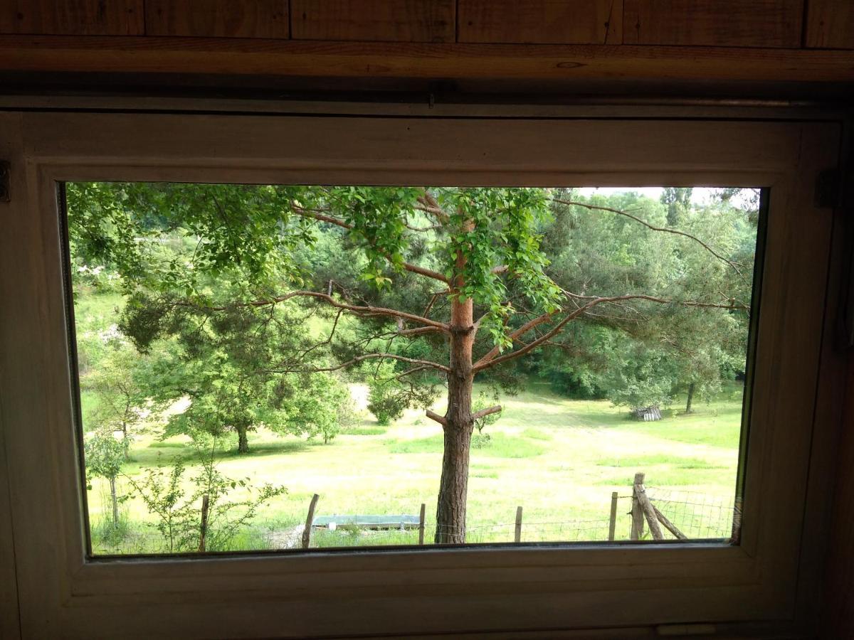 La Cabane En Bois Villemur-sur-Tarn 外观 照片