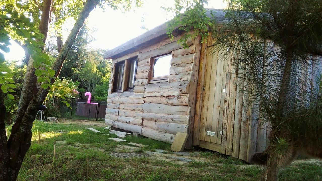 La Cabane En Bois Villemur-sur-Tarn 外观 照片