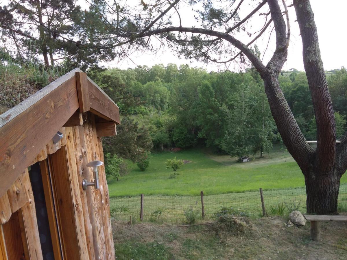 La Cabane En Bois Villemur-sur-Tarn 外观 照片