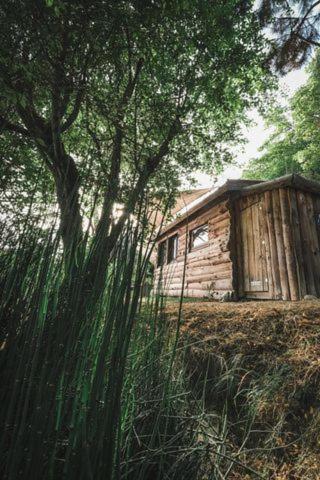 La Cabane En Bois Villemur-sur-Tarn 外观 照片